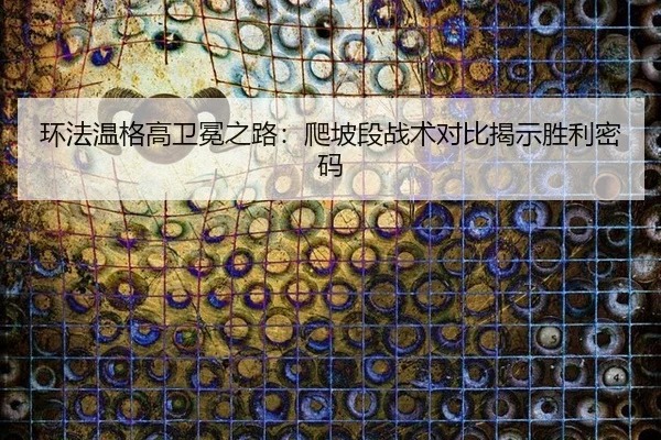 环法温格高卫冕之路：爬坡段战术对比揭示胜利密码