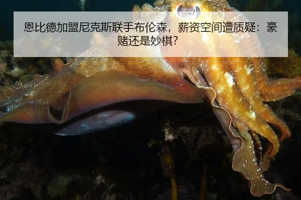en-bi-de-jia-meng-ni-ke-si-lian-shou-bu-lun-sen-xin-zi-kong-jian-zao-zhi-yi-hao-du-hai-shi-miao-qi-3-377.jpg