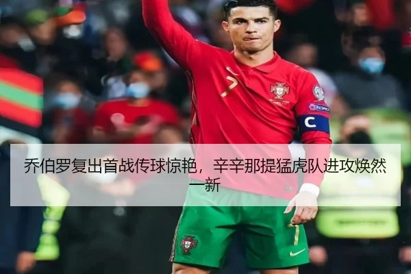乔伯罗复出首战传球惊艳，辛辛那提猛虎队进攻焕然一新