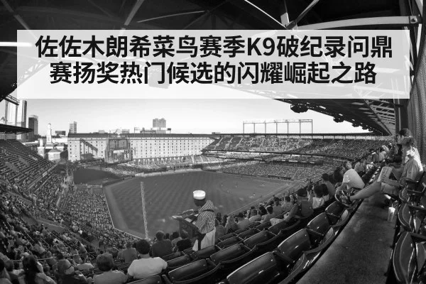 baseball stadium crowd